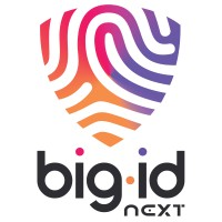 Big ID logo