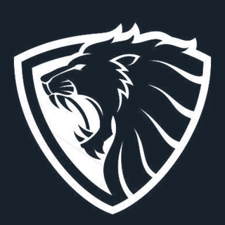 Cyberknight logo