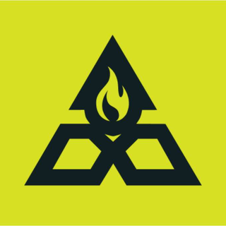 FireSwarm Solutions logo