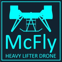 McFly logo