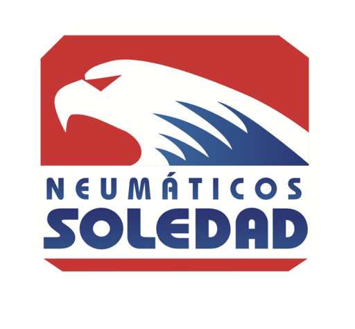 Neumaticos Soledad, S.L. logo