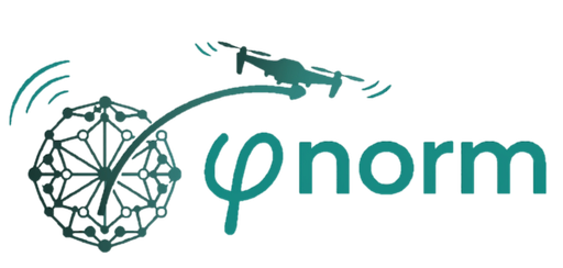 Phinorm logo