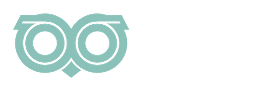 QubitOwl logo