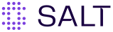 Salt Security logo