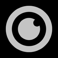 Seeing Systems logo