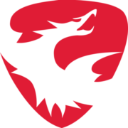 Skyeton logo