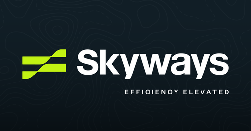 Skyways logo