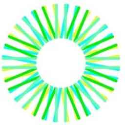 Sunrise Energy Metals logo