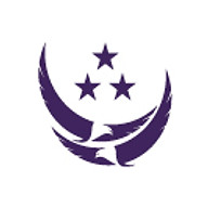 Valiant Global Defense Services logo